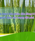 CÔNG TY TNHH NÔNG DƯỢC DUMYCO