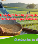 CÔNG TY TNHH NÔNG DƯỢC DUMYCO