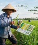 CÔNG TY TNHH NÔNG DƯỢC DUMYCO