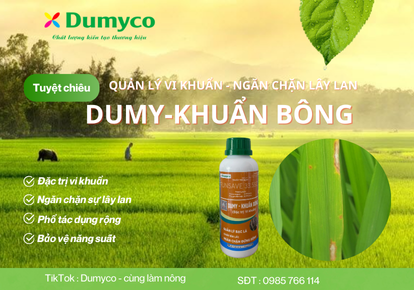Dumy - Khuẩn bông - Sản phẩm chuyên đặc trị vi khuẩn mùa mưa trên lúa