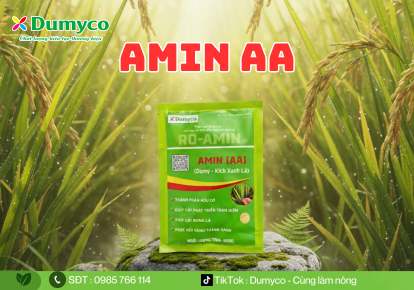 AMIN AA - KÍCH XANH LÁ - PHỤC HỒI VÀNG THÀNH XANH, PHÁT TRIỂN TOÀN DIỆN
