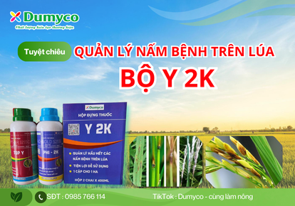 BỘ SẢN PHẨM Y 2K - QUẢN LÝ HẦU HẾT CÁC LOẠI NẤM BỆNH TRÊN LÚA
