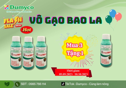 CHƯƠNG TRÌNH KHUYẾN MÃI MUA 3 TẶNG 1 - SẢN PHẨM VÔ GẠO - VÔ GẠO BAO LA