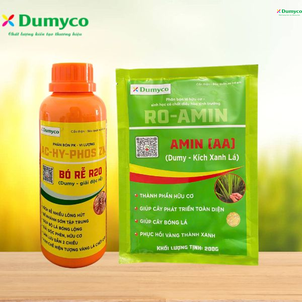 GIẢI PHÁP VÀNG CAM CHẾT CÂY - AMIN AA & BÓ RỄ R20