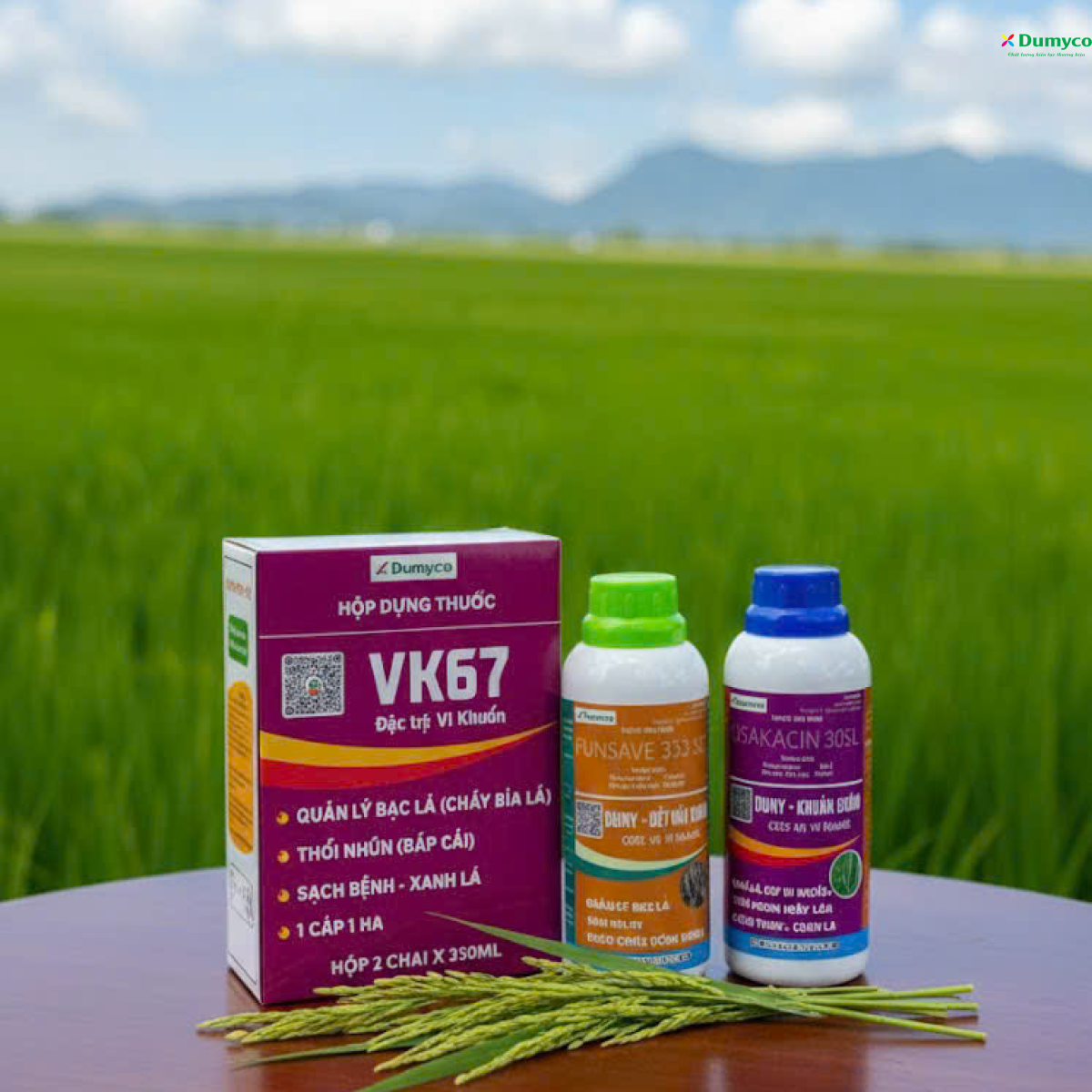 GIẢI PHÁP CHẤM HẾT MỌI MẦM BỆNH VI KHUẨN TRÊN LÚA - GIẢI PHÁP VK67