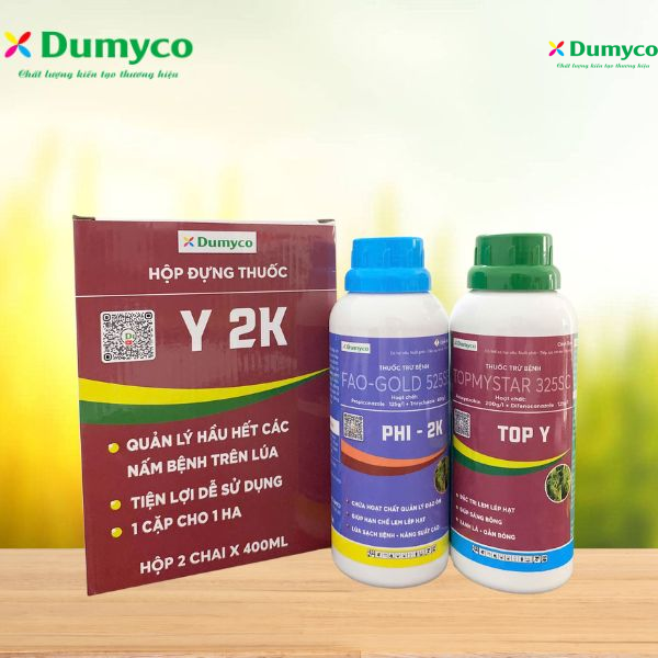 BỘ GIẢI PHÁP Y2K 