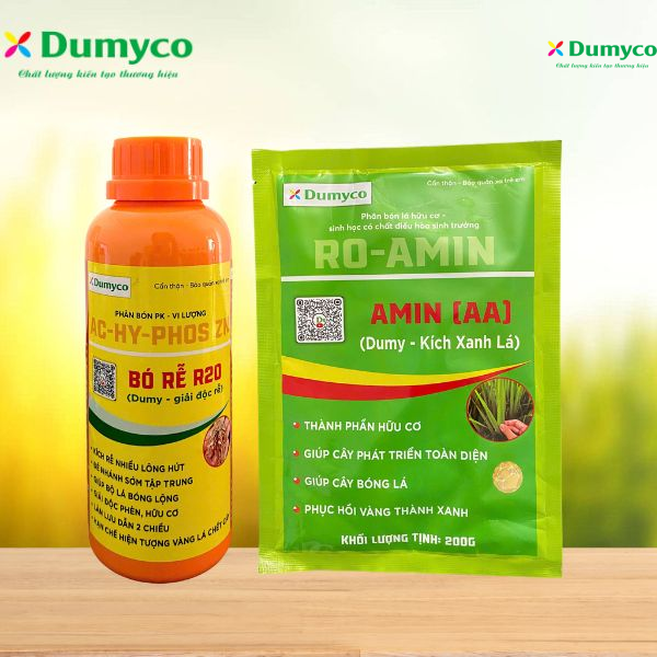 GIẢI PHÁP VÀNG CAM CHẾT CÂY - AMIN AA & BÓ RỄ R20