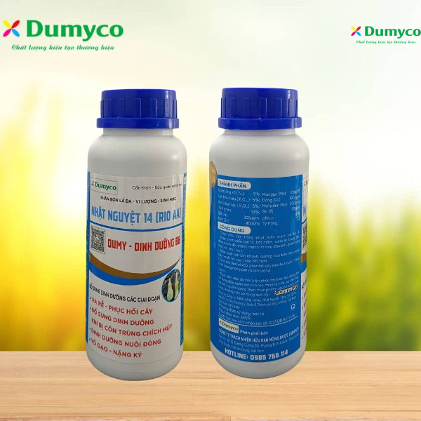 DINH DƯỠNG B6 500ml - dinh dưỡng nuôi đòng
