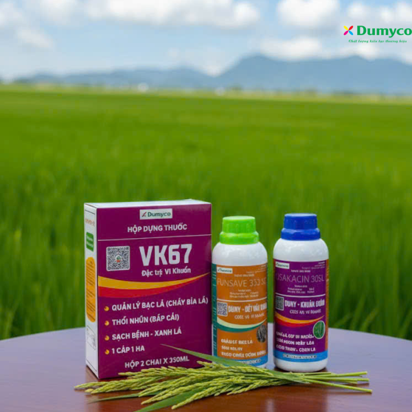 GIẢI PHÁP CHẤM HẾT MỌI MẦM BỆNH VI KHUẨN TRÊN LÚA - GIẢI PHÁP VK67